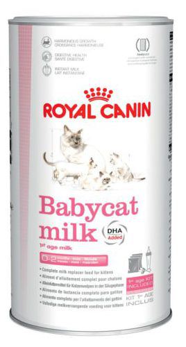Babycat Milk Lait maternis&eacute; chaton