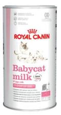 Babycat Milk Lait Maternise Chaton