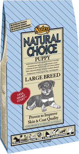 Puppy Race de Grande Tailles Poulet Puppy Race de Grande Tailles Poulet