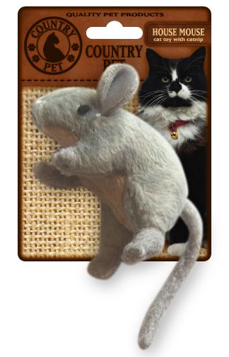 Souris de Maison Souris de Maison