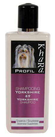 Shampooing pour Yorkshire