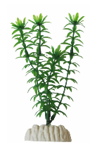 Plante 20 cm Ap-012 Elodea