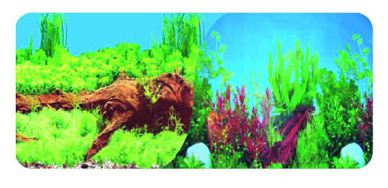 Poster Aquarium double 30Cm Plantes