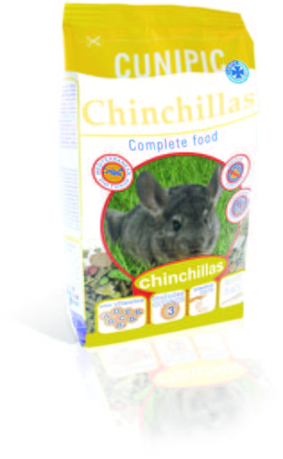 Chinchilla Chinchilla