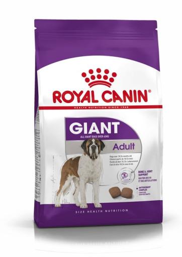 Veterinary Care Adult Giant dog