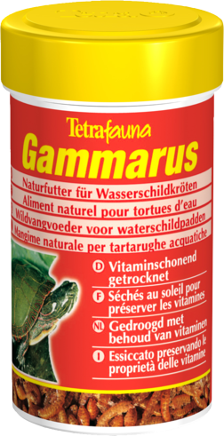 Gammarus pour Tortues d'Eau Gammarus pour Tortues d'Eau