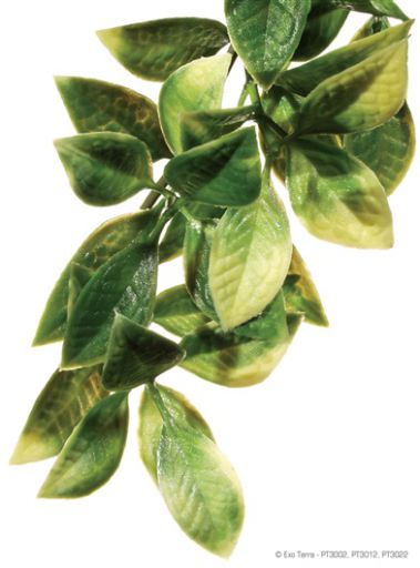 EXO TERRA - Plante plastique mandarin - petit EXO TERRA - Plante plastique mandarin - petit