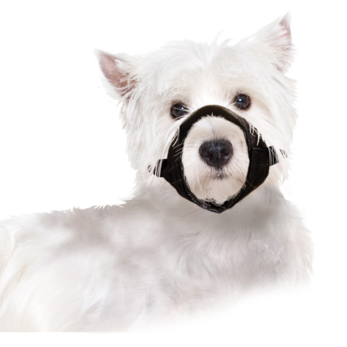 Muselière en Nylon S pour Chiens Jack Russel et Westie