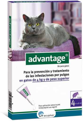 Advantage 80 Chat (+ De 4Kg) Advantage 80 Chat (+ De 4Kg)