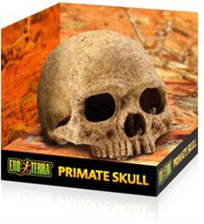Exo Terra Primate Skull Exo Terra Primate Skull
