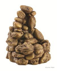 Exo Terra Fontaine Pebble Petite Taille Exo Terra Fontaine Pebble Petite Taille