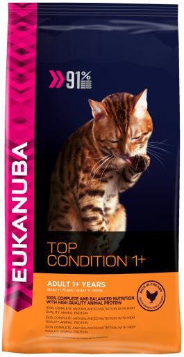 Chat Adulte Top Condition 1+ Chat Adulte Top Condition 1+