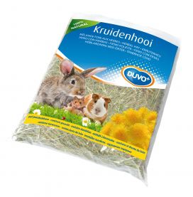 Hay pissenlit Hay pissenlit
