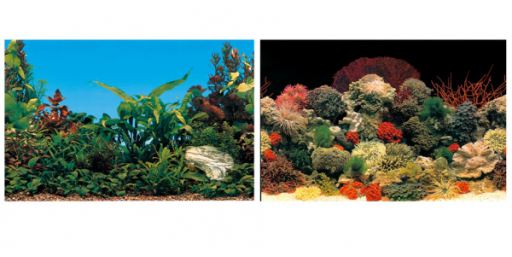 Fond Aquarium Blu9050