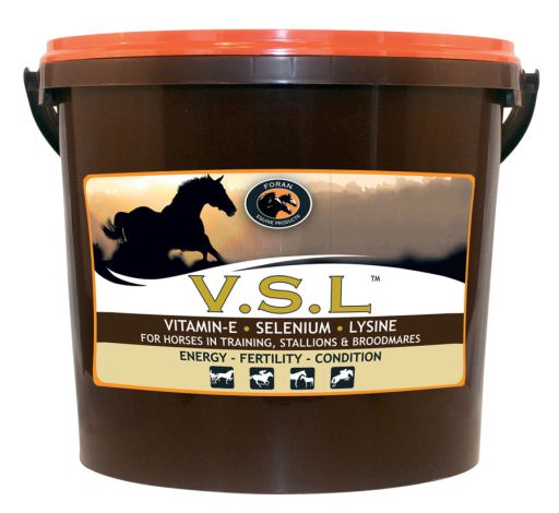 Supplément Antioxydant VSL Supplément Antioxydant VSL