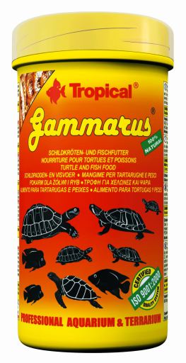 Gammarus Gammarus