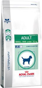Veterinary Care Adult Small Dog Veterinary Care Adult Small Dog