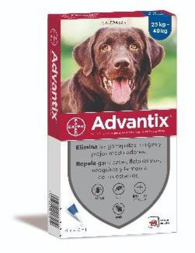 Pipettes antiparasitaires grand chien (25 à 40 kg) Pipettes antiparasitaires grand chien (25 à 40 kg)