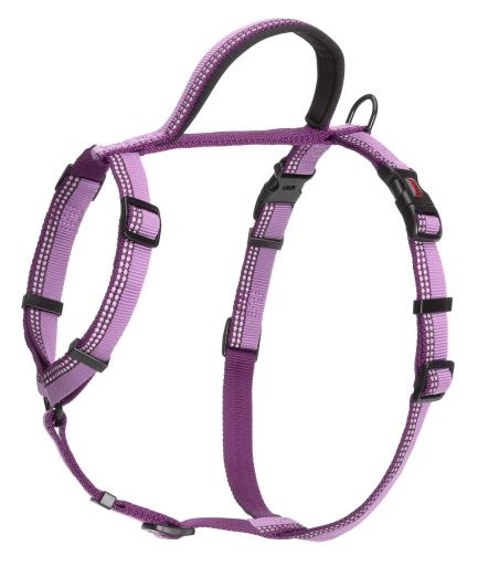 walking harness
