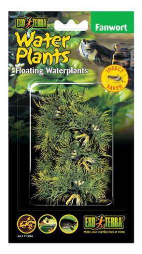 Plantes Flottants Pour Reptiles