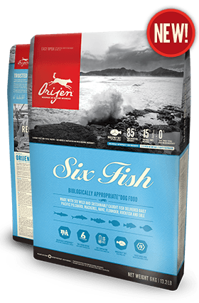 Dry 6 Fish Cat & Kitten Dry 6 Fish Cat & Kitten