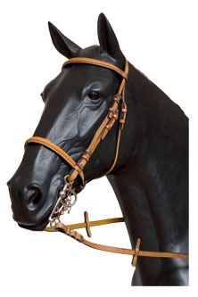 Caveçon Anglaise T-7 Front. et Mus. Tressé Full pour Chevaux Caveçon Anglaise T-7 Front. et Mus. Tressé Full pour Chevaux