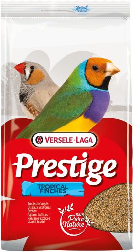 Tropical Finches Prestige pour Oiseaux Exotiques