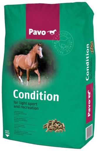 Nourriture pour Chevaux Condition Nourriture pour Chevaux Condition