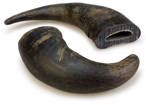 Snack Dental Corne de Buffle Snack Dental Corne de Buffle