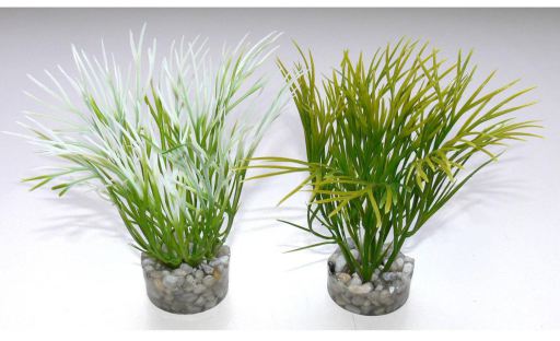 Nano Green Plant Nano Green Plant