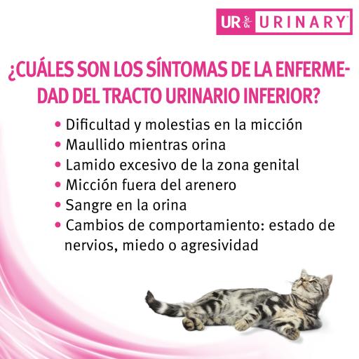 PURINA Pro Plan - Veterinary Diets - Chat UR St/Ox - Urinary Poulet au  meilleur prix