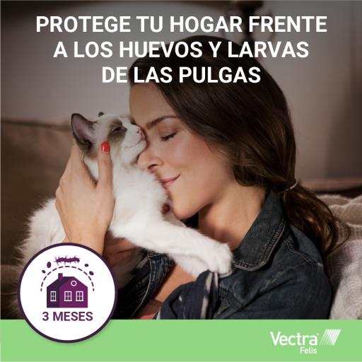 Vectra Felis chat : pipettes anti puces / antiparasitaire - Wanimo