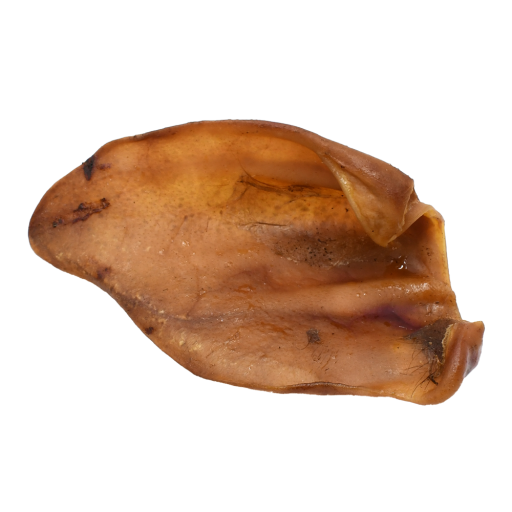 Oreja de Cerdo Oreja de Cerdo